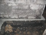 IMG_3572.JPG