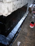 IMG_3584.JPG