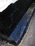 IMG_3585.JPG
