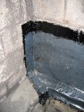 IMG_3595.JPG