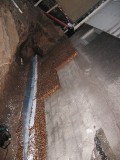 IMG_3603.JPG