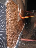IMG_3604.JPG