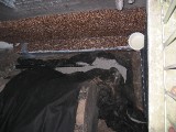 IMG_3648.JPG