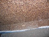 IMG_3672.JPG