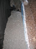 IMG_3673.JPG