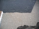 IMG_3674.JPG