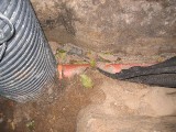 IMG_3801.JPG