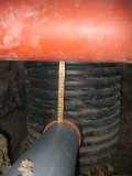 IMG_3811.JPG