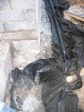 IMG_3827.JPG