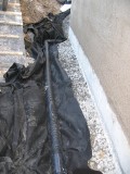 IMG_3829.JPG