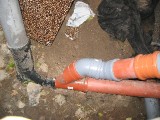 IMG_3848.JPG