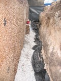IMG_3861.JPG