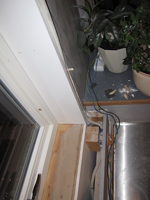 2009-03-19_005