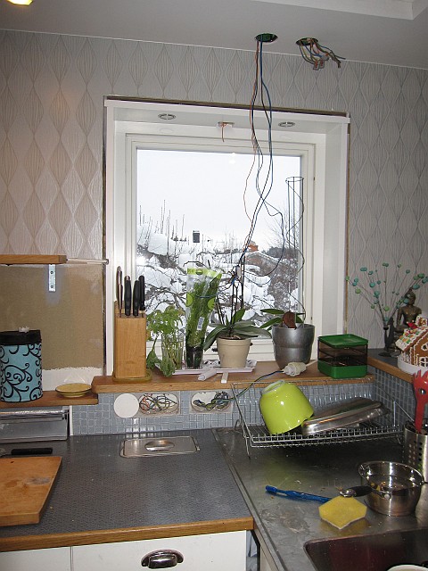 2011-01-12_007
