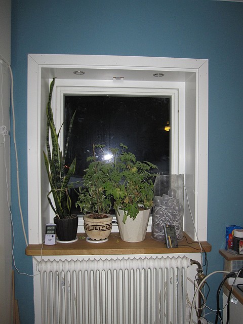 2011-01-12_008