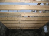 IMG_4019.JPG
