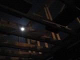 IMG_4047.JPG