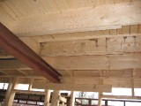 IMG_4063.JPG