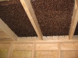 K_2006-02-04_3.jpg