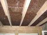 K_2006-02-11_2.jpg