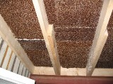 K_2006-02-11_3.jpg