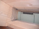 U_2006-01-30.jpg
