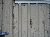 2006-09-30_5
