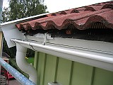 IMG_6679