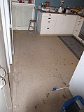 2009-03-19_029