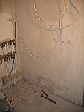 IMG_7584