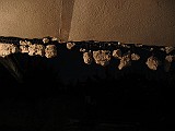 IMG_3413