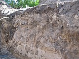 IMG_3436