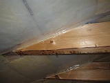 2009-06-28_Lim