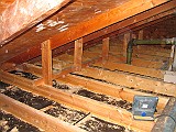 IMG_4869