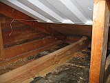 IMG_5705