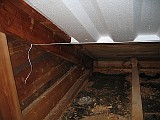 IMG_5706