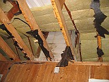 IMG_5743