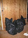 IMG_5744