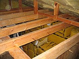 IMG_5771