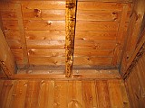IMG_5802
