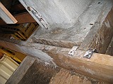 IMG_5813