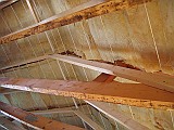 IMG_6519