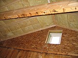 IMG_6614